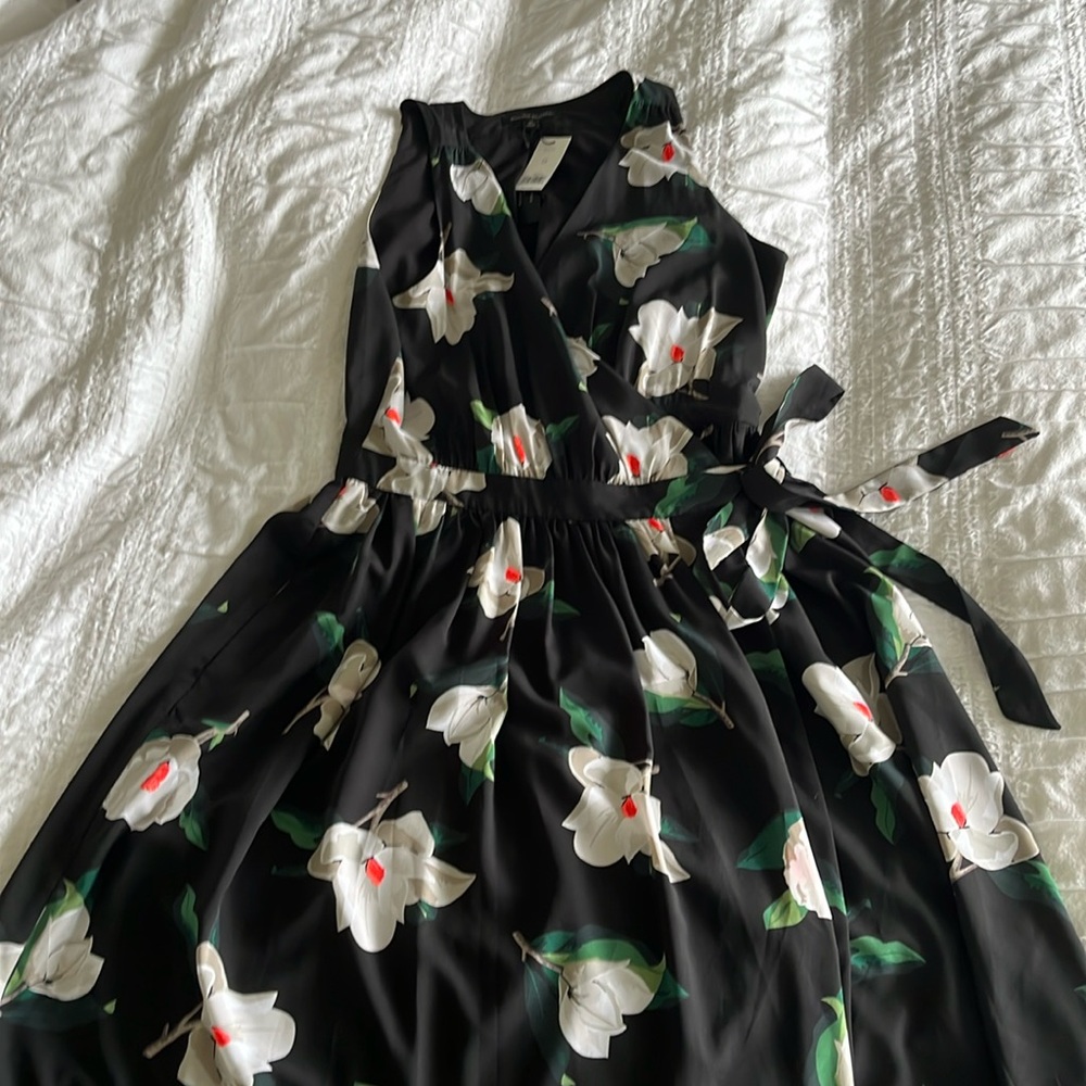Banana Republic Dress